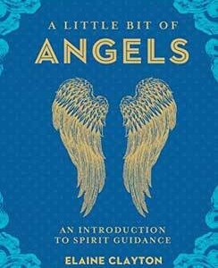 Little Bit of Angels (hc) by Elaine Clayton