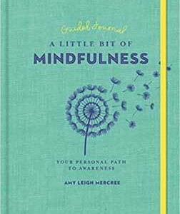 Little Bit of Mindfulness (hc) by Amy Leigh Mercree