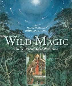 Wild Magic by Danu Forest