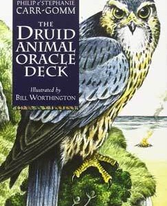 Druid Animal oracle deck by Carr-Gomm & Carr-Gomm