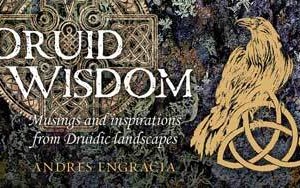 Druid Wisdom cards by Andres Engracia
