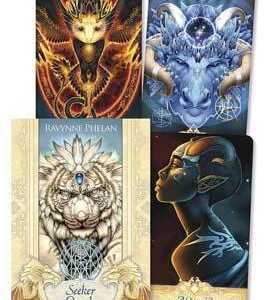 Seeker Oracle by Ravynne Phelan