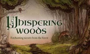 Whispering Woods Inspiration cards