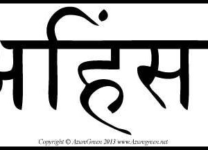 Ahimsa bumper sticker