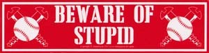 Beware of Stupid  11 1/2" x 3"