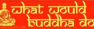 What Would Buddha Do bumper sticker