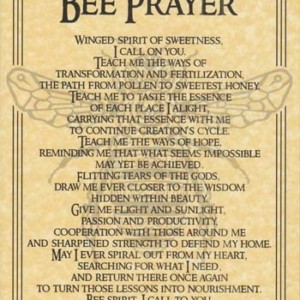 Bee Prayer poster