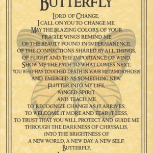 Butterfly Prayer poster