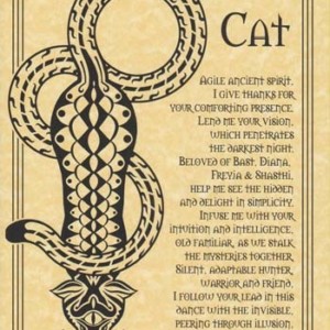 Cat Prayer poster