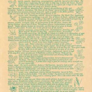 Celtic Trees poster
