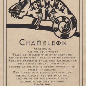Chameleon Prayer poster