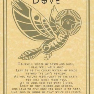 Dove Prayer poster