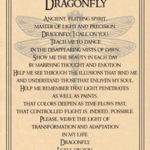 Dragonfly poster
