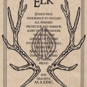 Elk Prayer poster