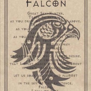 Falcon Prayer poster