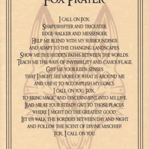 Fox Prayer poster