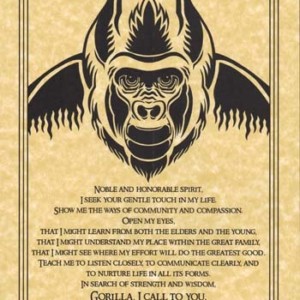 Gorilla Prayer poster