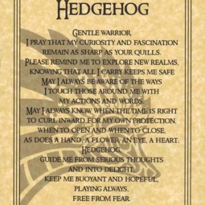 Hedgehog Prayer poster