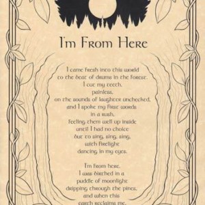 I'm From Here poster