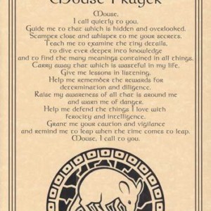Mouse Prayer poster