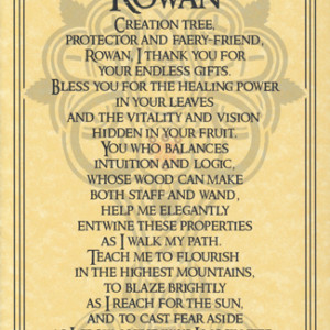 Rowan Tree poster
