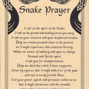 Snake Prayer poster