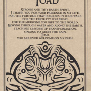 Toad Blessing poster