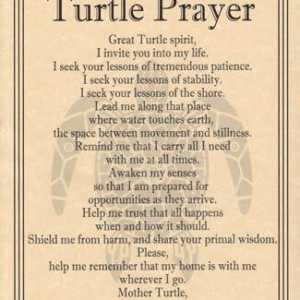 Turtle Prayer poster