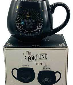 3 3/4" Fortune Teller mug