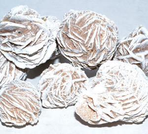 1 lb Desert Rose