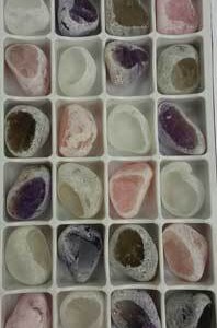 Flat of Mixed windowed (24/flat)