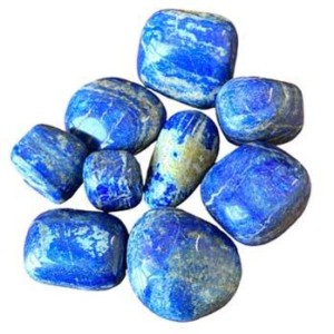 ~1kg Lapis free shape (6 to 11 per bag)