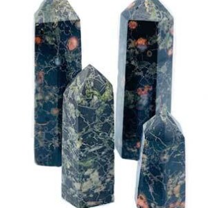 1# Crinoids Fossil W/ Rubilites