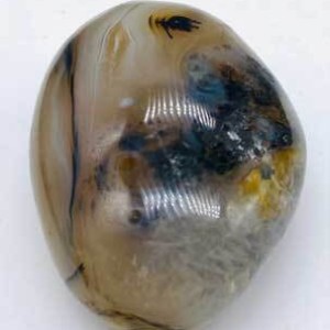 Agate, Dendritic palm stone