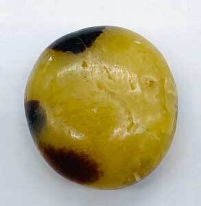Jasper,Septarian palm stone