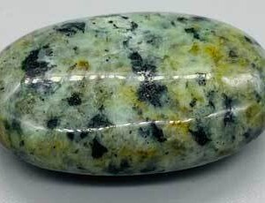 ~2" Turquoise, African palm stone