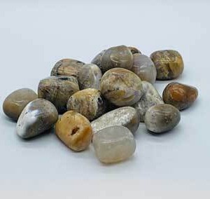 1 lb Agate, Dendritic tumbled