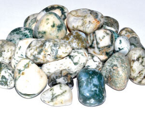 1 lb Agate, Tree tumbled stones