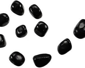 1 lb Shungite tumbled stones