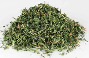Alfalfa cut 1oz  (Medicago sativa)