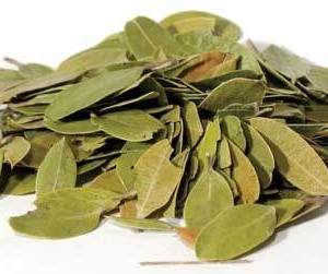 Bearberry mexican whole 1oz (Uva Ursi)