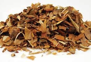 White Pine Bark cut 1oz (Pinus strobus)