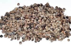 Chaste berries whole 2oz