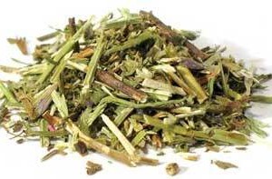 1 Lb Hyssop Cut (Hyssopus officinalis)