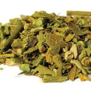 Mistletoe cut 2oz (Phoradendron flavescens)