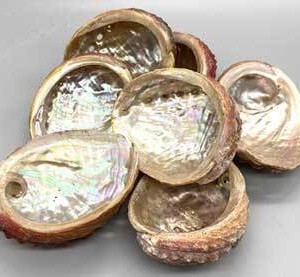3-4" Abalone Shell incense burner