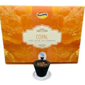 (set of 12) Copal charcoal dhoop cup