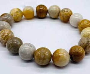 12mm Agate, Fossilized Coral bracelet