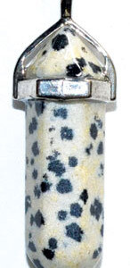 Joy (dalmation) double terminated