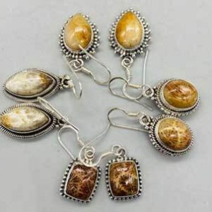 Fossil coral various earrings